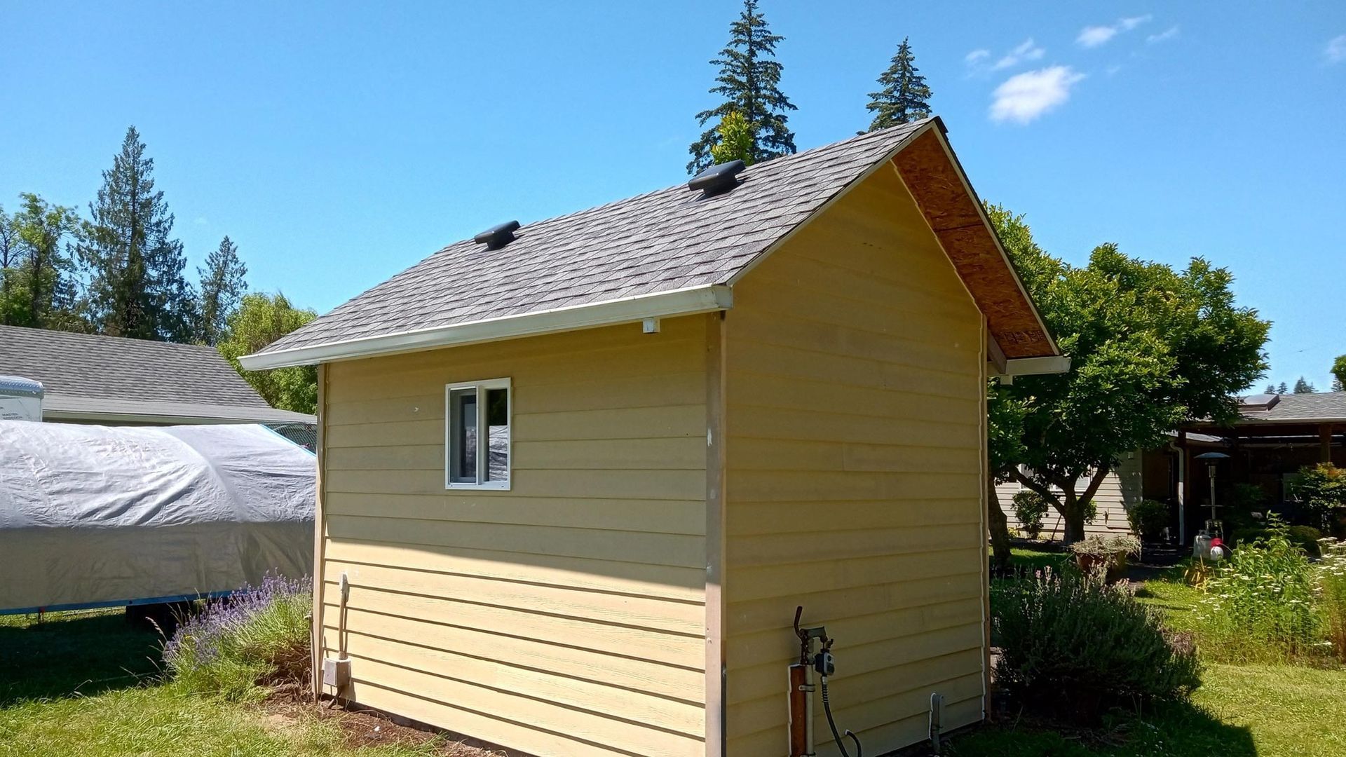 Tiny house with yellow siding