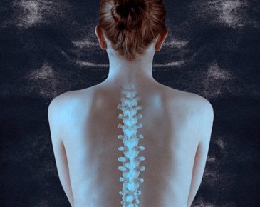 CHIROPRACTIC-CARE-SERVICES-SUPPORT