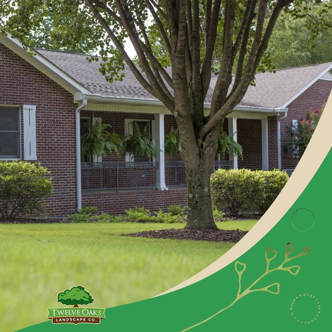Brick house with tree in front yard, green lawn, ferns hanging on porch, white shutters.