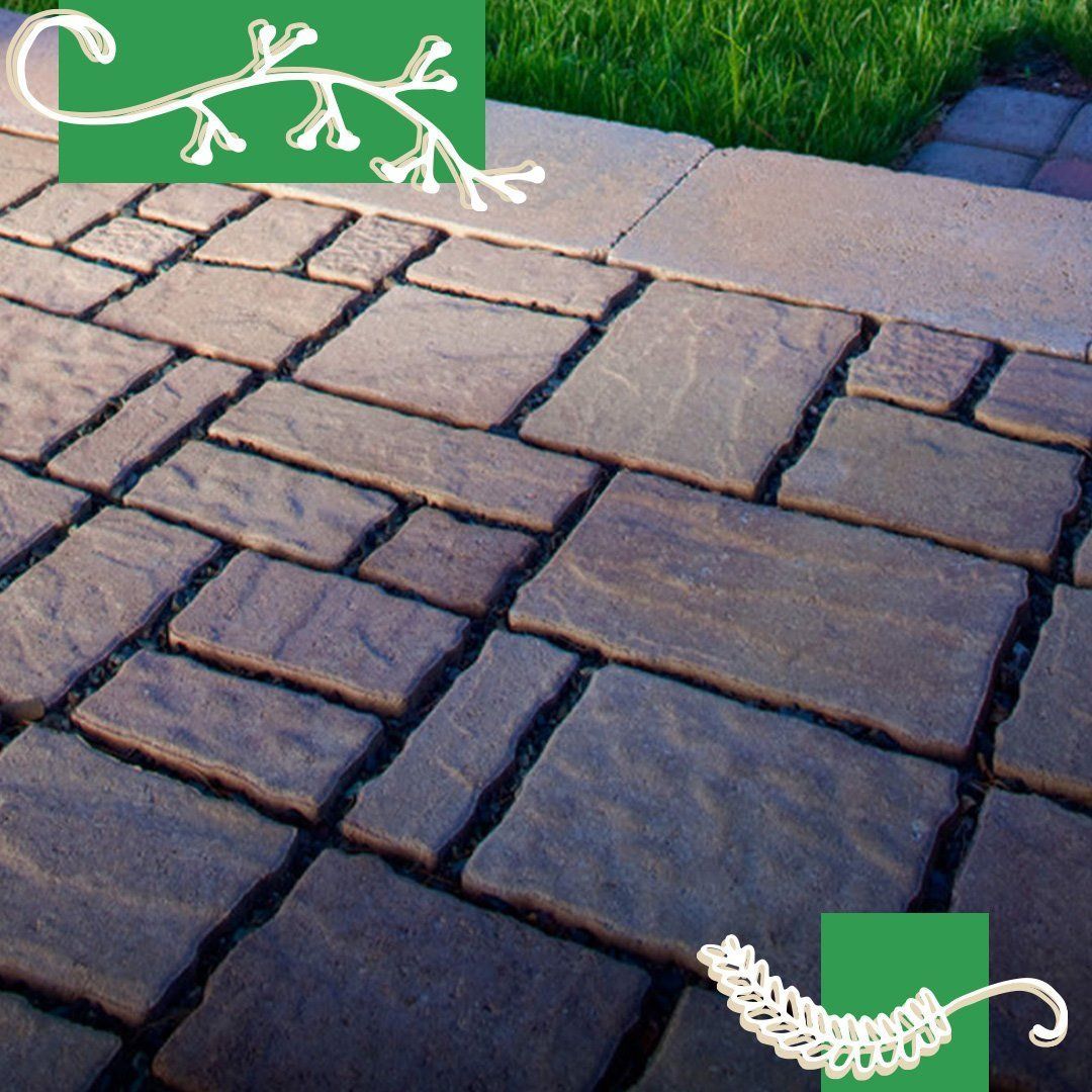 Stone pavers in varying shades of brown form a pathway beside a concrete border and green grass.