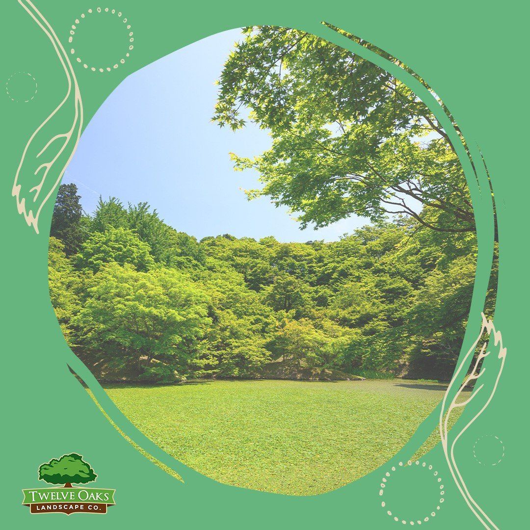 Green grassy field with lush green trees and blue sky.