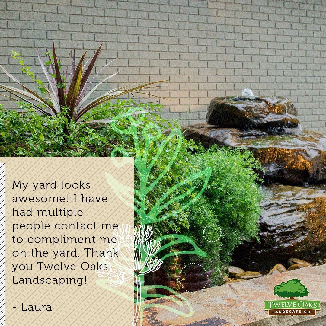 Landscape with a water feature and plants. Text: 