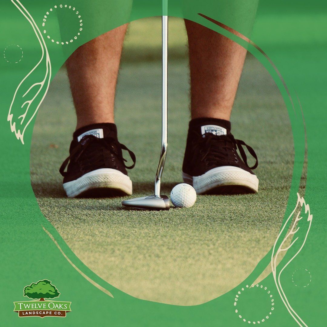 Person putting a golf ball, wearing black shoes, on a green golf course.