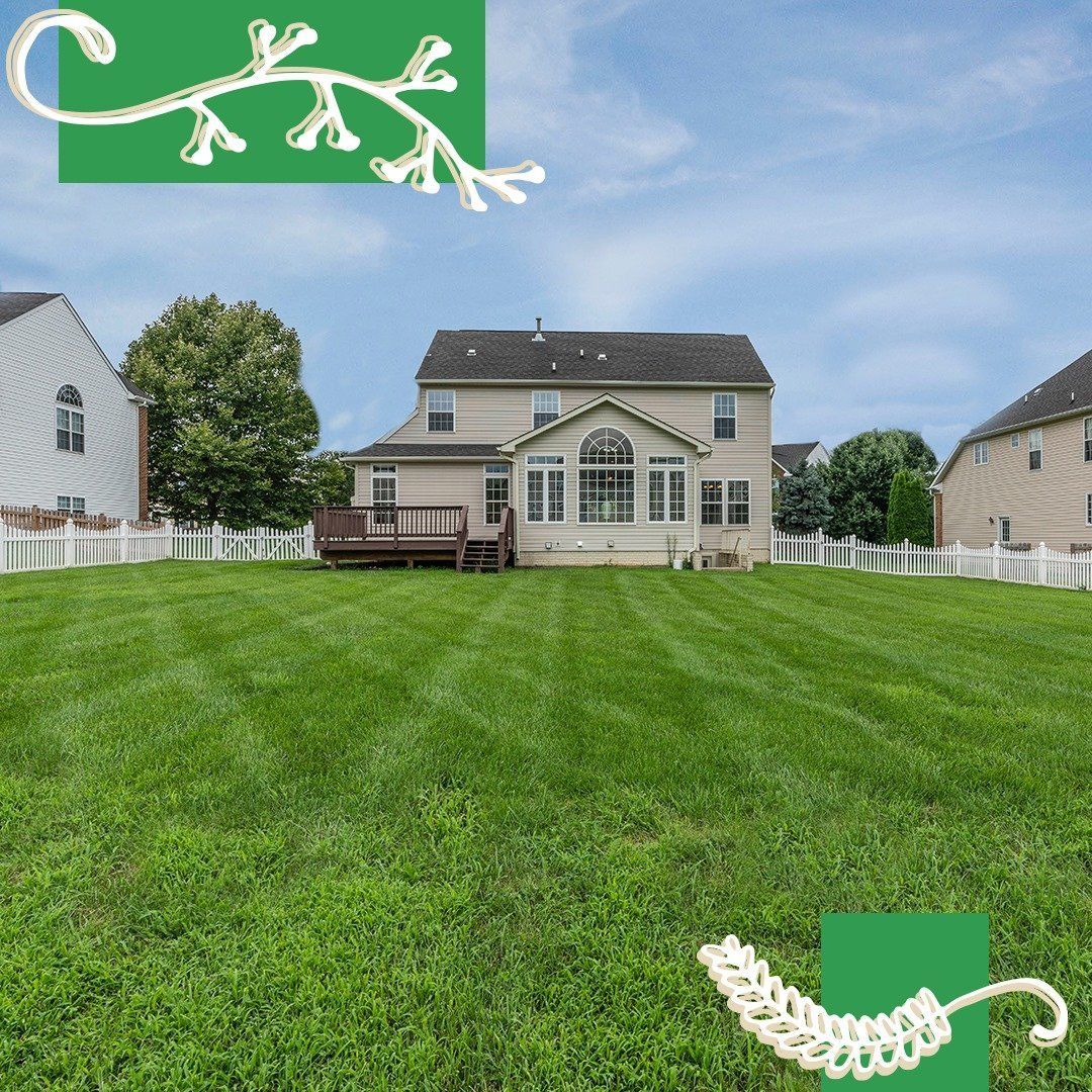 Backyard of a house with green lawn, white fence, and beige house with a deck.