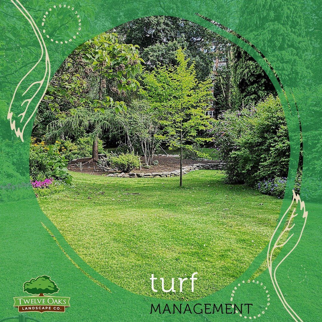 Green lawn and trees in a garden setting, surrounded by a decorative green frame with the words 