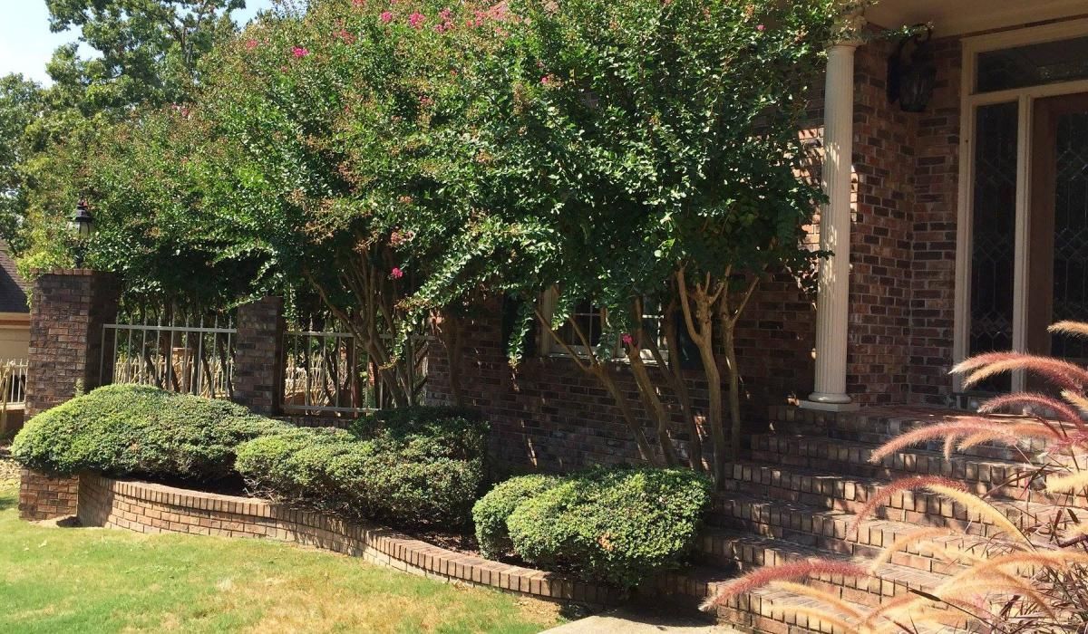 Brick house exterior with a row of green trees, shrubs, and steps with a lawn.