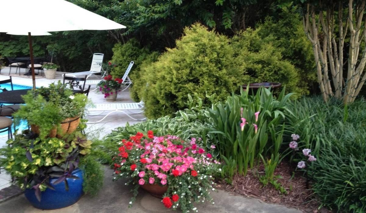 Backyard patio with flowers and greenery, lounge chairs, and a pool.