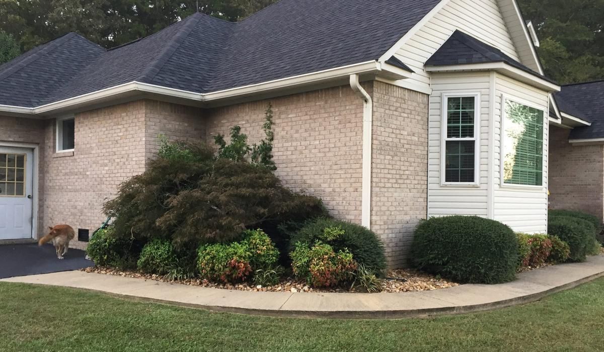 Tan brick house with dark roof, a bay window, and landscaping, with a dog visible.