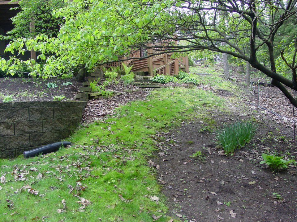 From the bottom looking up.