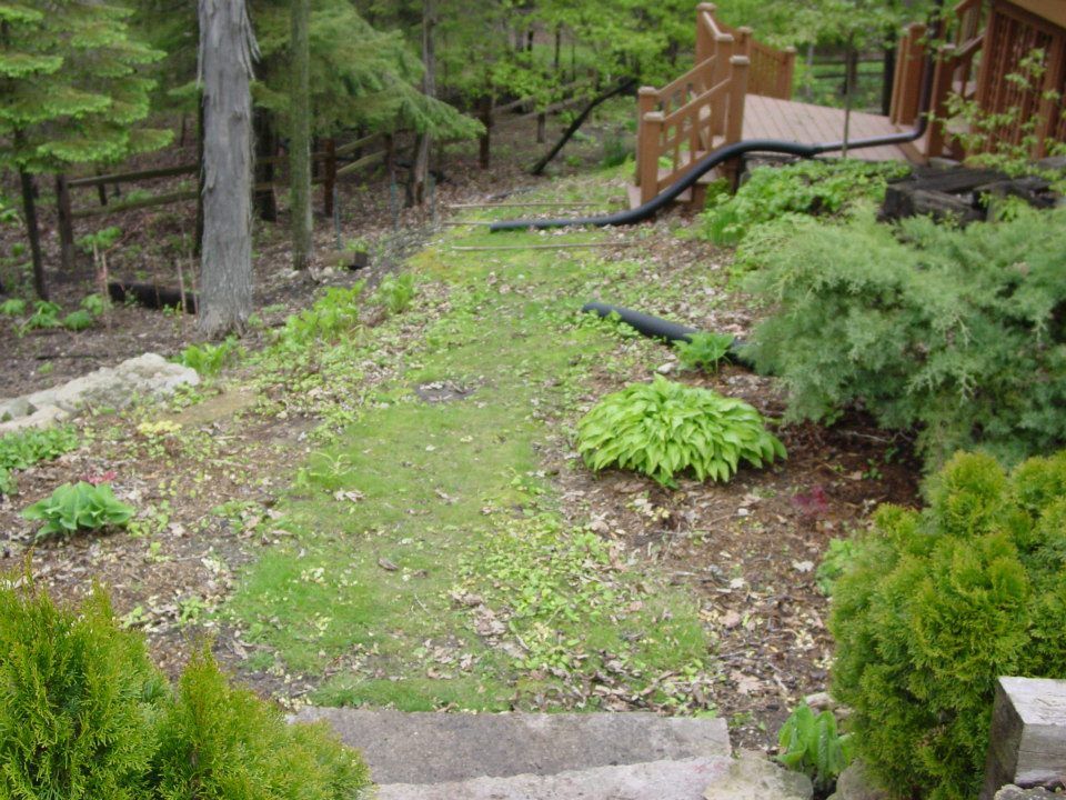 From the top looking down. The black drain tile is not very attractive.