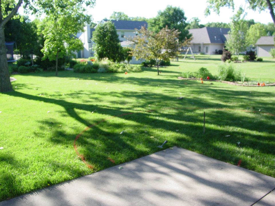 The view into the yard. See how open it is.
