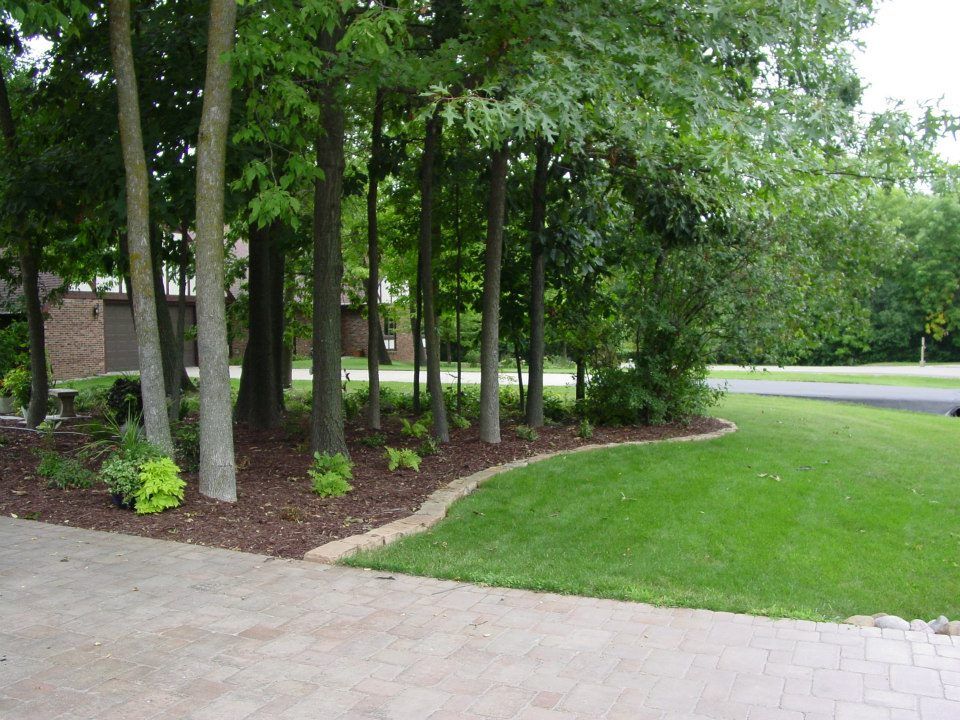 We salvaged the owner's natural stone from along the side of the house and installed it as an edging along the front of the woods.