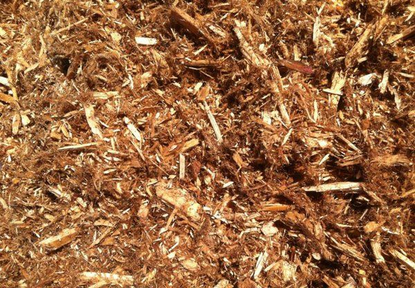 Cedar Mulch