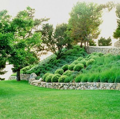 A lush green hillside with trees and bushes and a stone wall