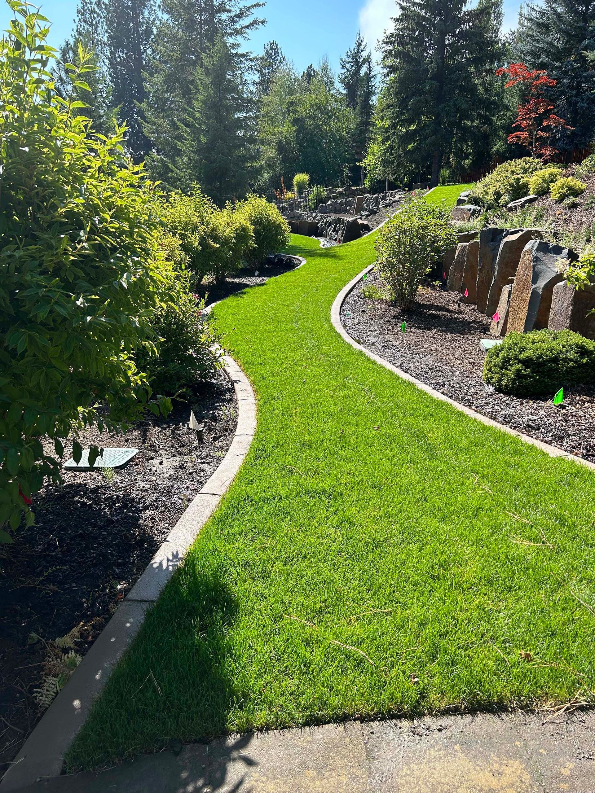 A lush green lawn with a path going through it