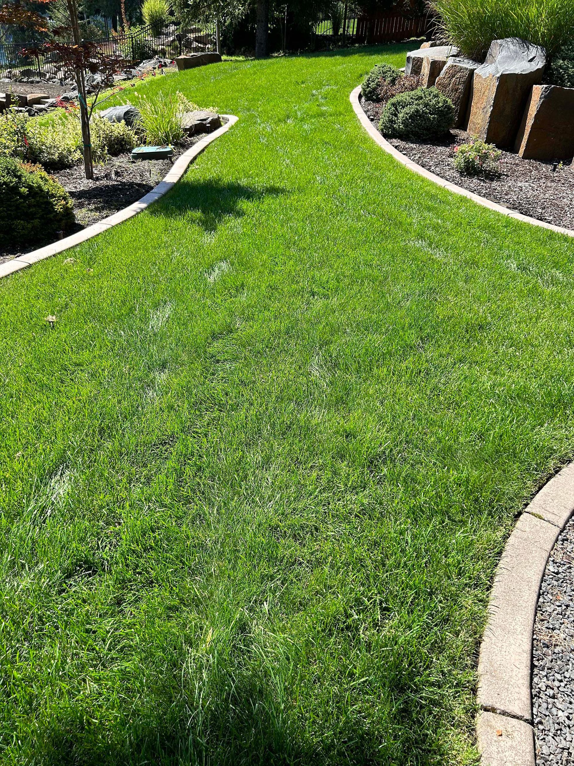 A lush green lawn with a walkway in the middle of it.