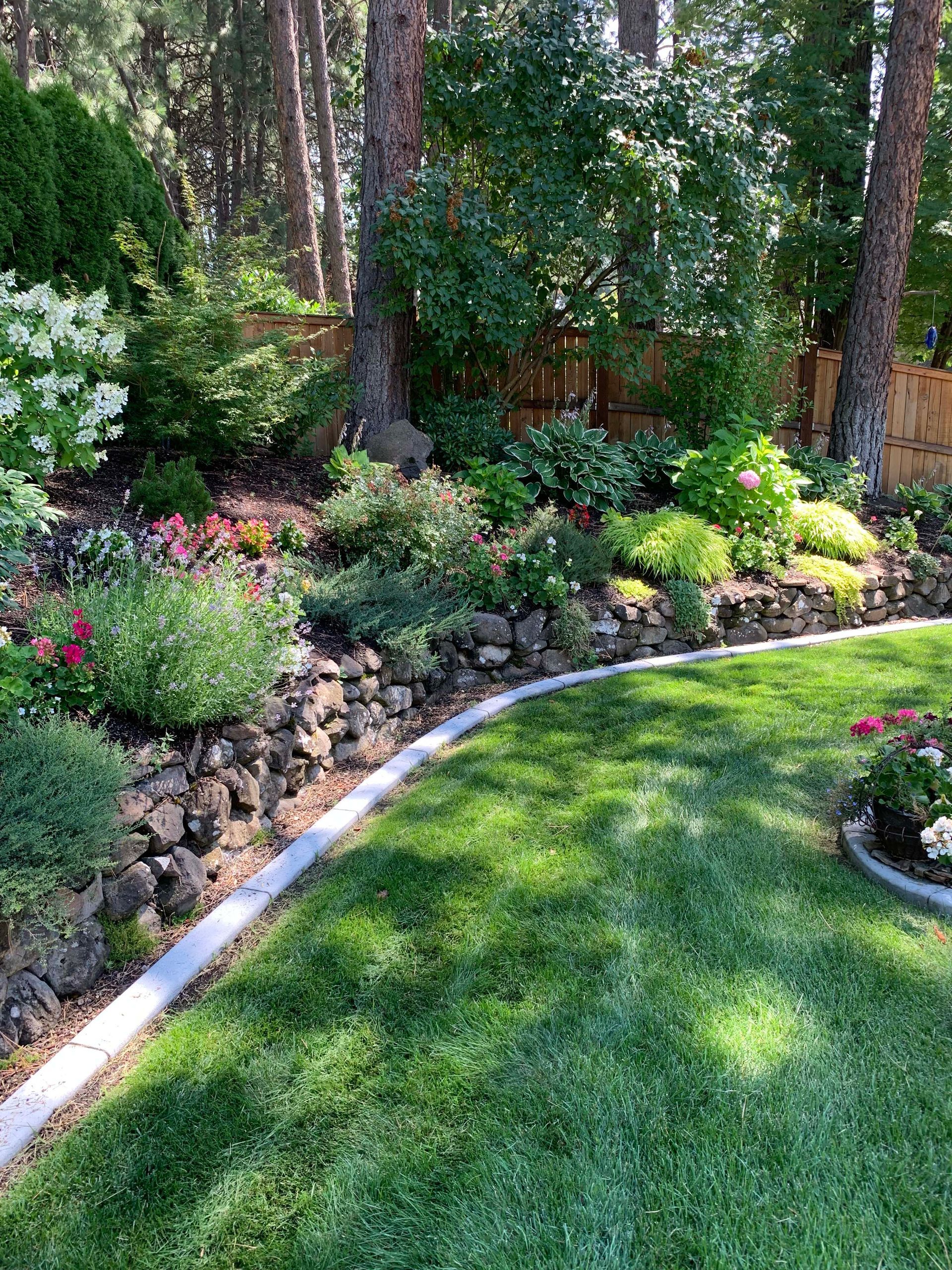 A lush green lawn surrounded by rocks and flowers in a backyard.