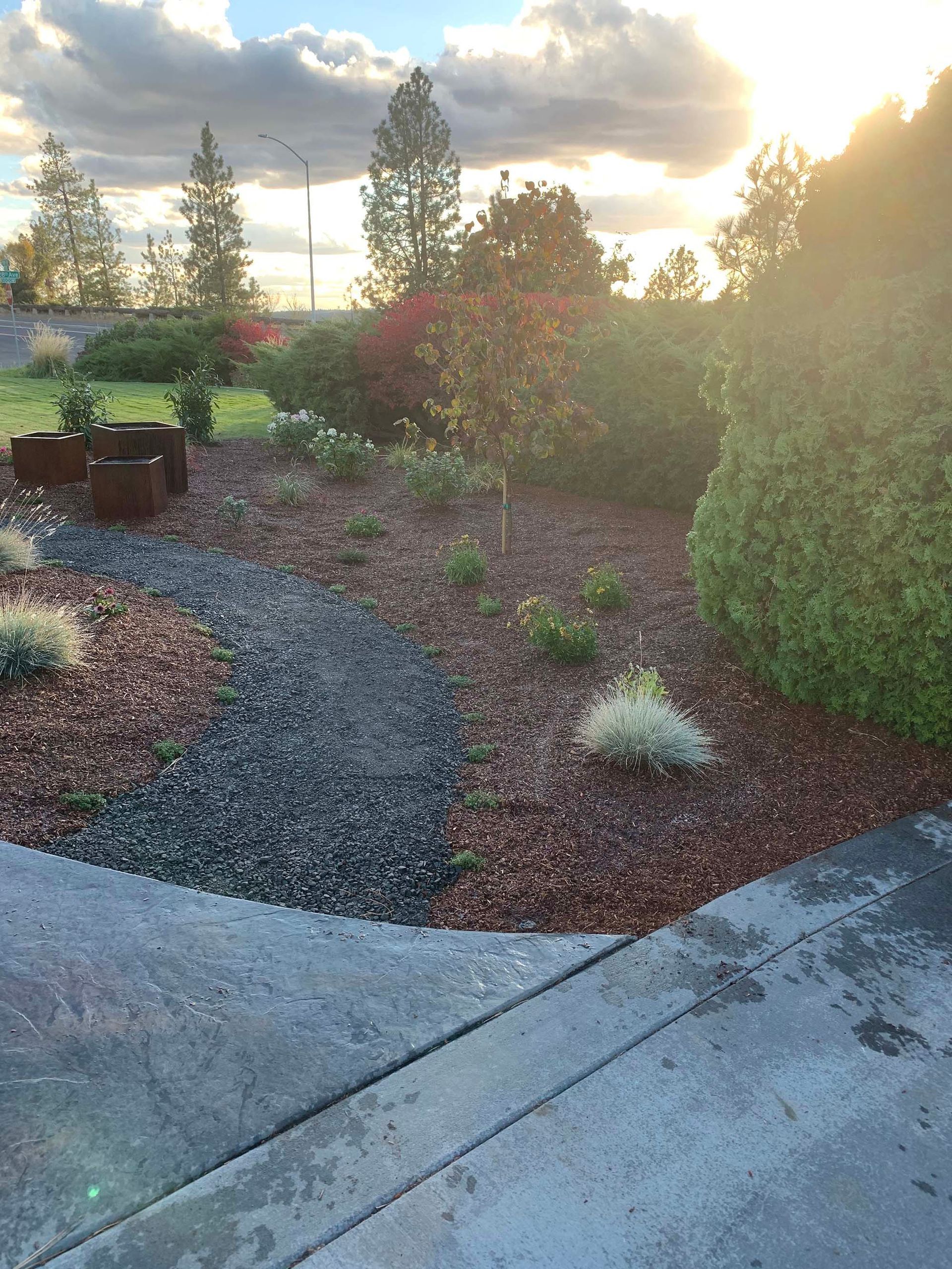 A concrete driveway leading to a garden with trees and bushes.