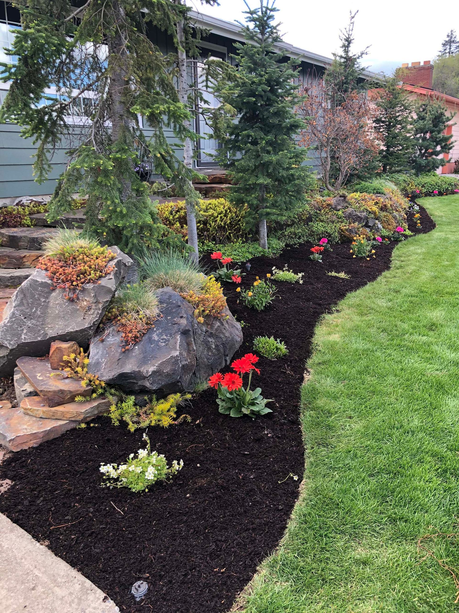 A lush green lawn with flowers and rocks in front of a house.
