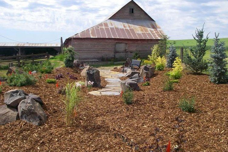A path leading to a barn is surrounded by mulch and rocks.