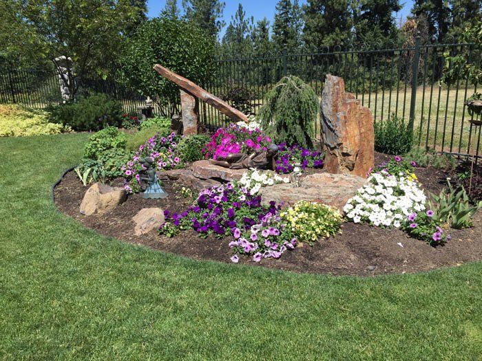 There are many different types of flowers in the garden.