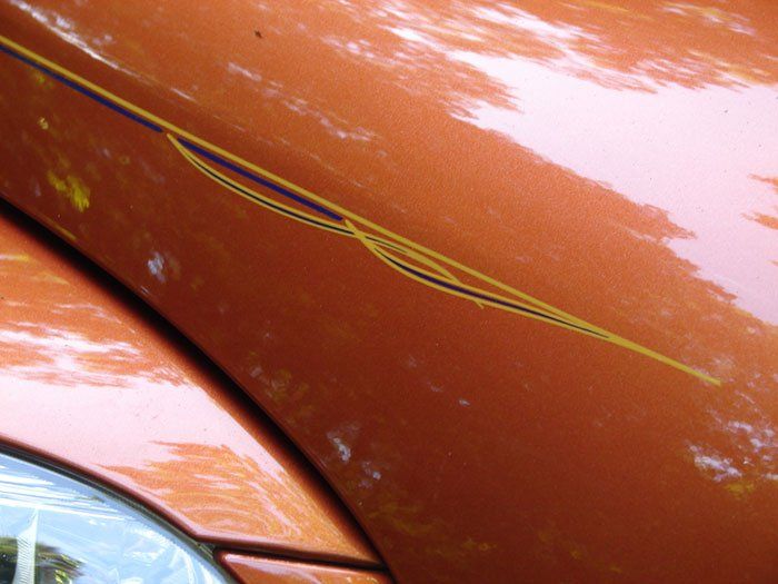 Pinstriping | Exton, PA | M Designs | 610-220-9827