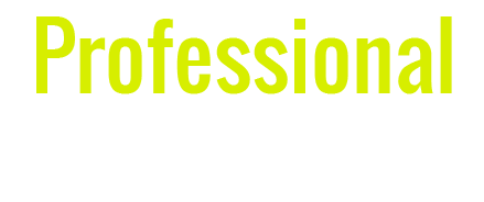 Professional Accounting Services logo