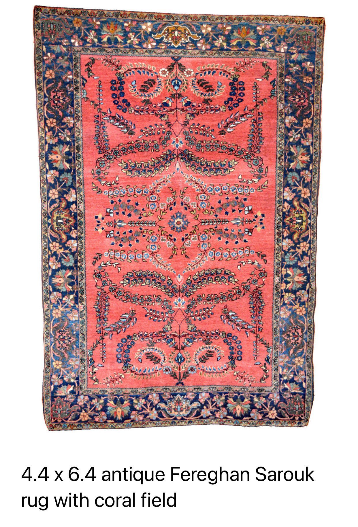rug collection