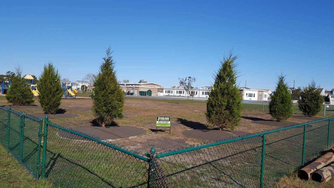 A green chain-link fence surrounds a small area with five green trees in a park under a blue sky.