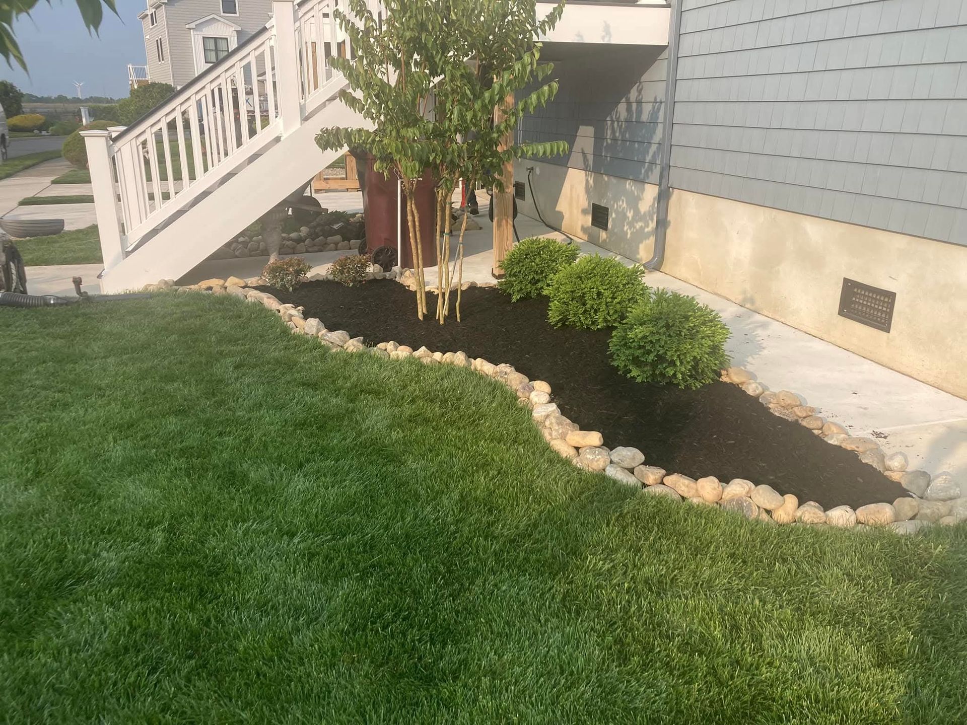 Lush green lawn bordering a dark mulch bed with small shrubs and a tree, set against a house with stairs.
