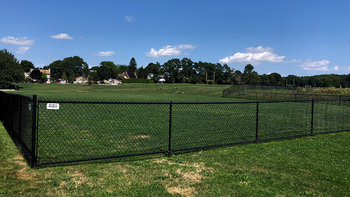 A black chain link fence surrounds a grassy field