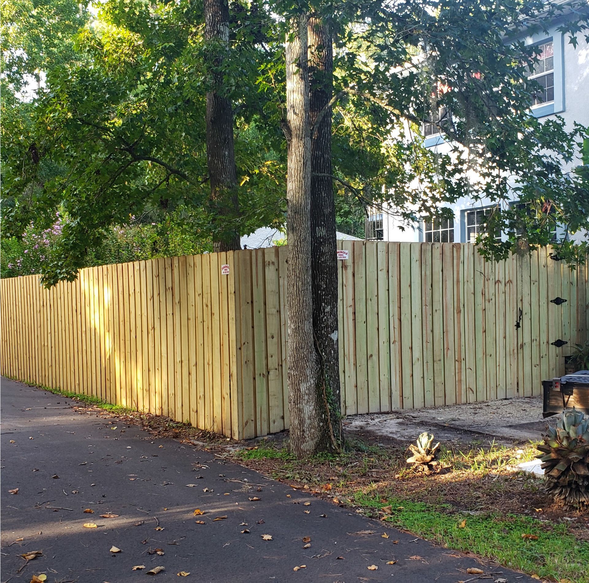 Wooden privacy fence along a residential street beside trees and a house
