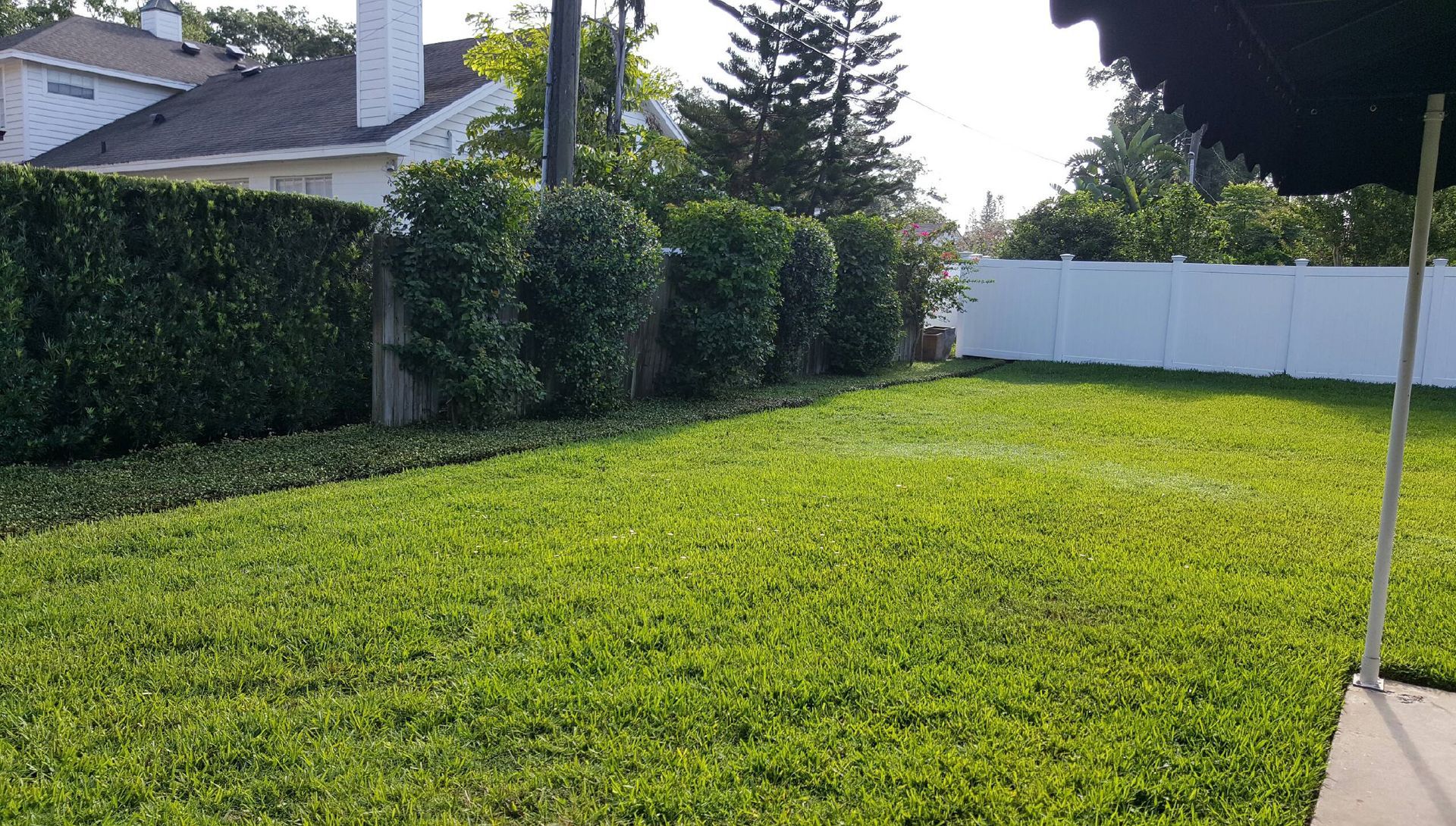 Sunny backyard with green lawn, hedges, white fence, and patio edge at right