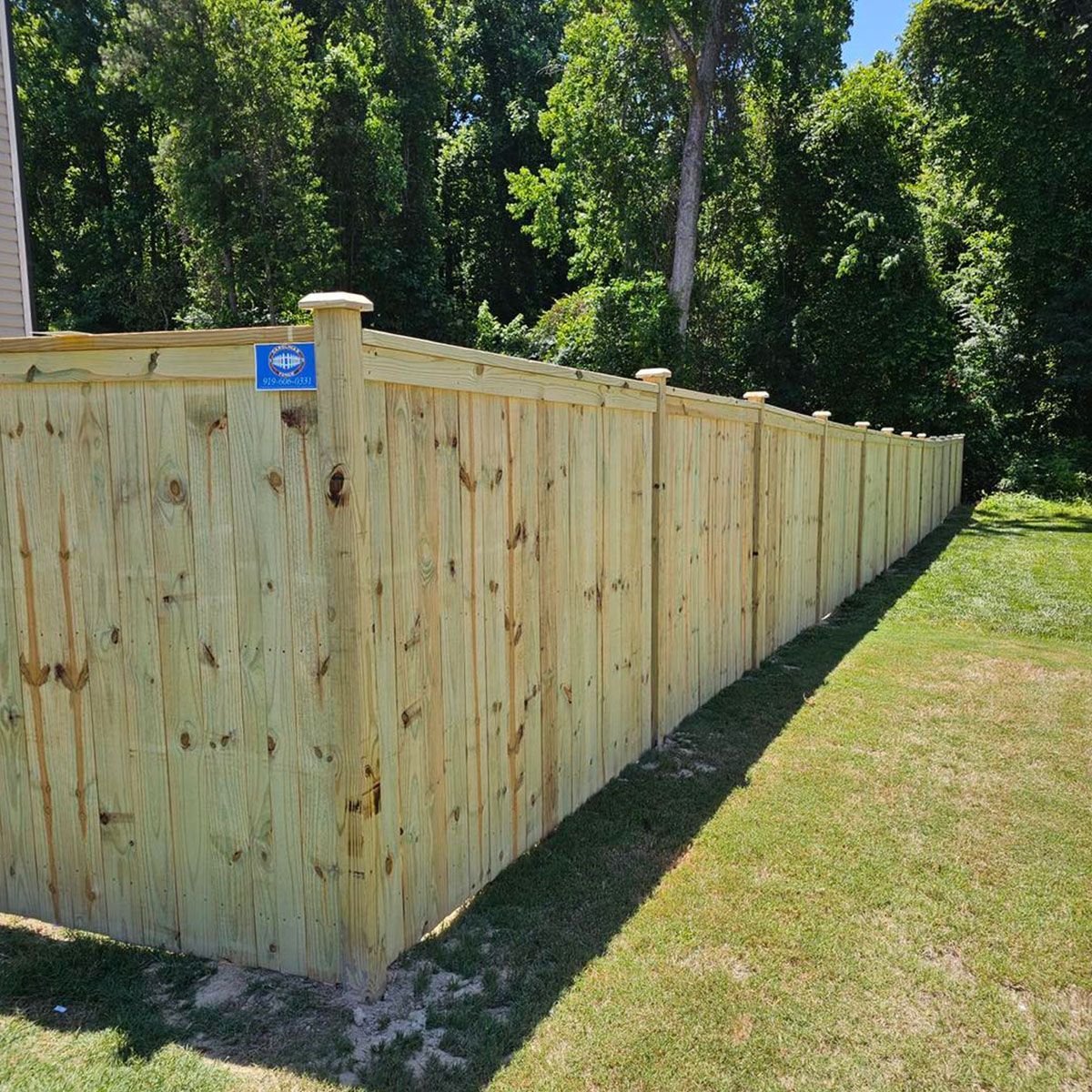 Wooden privacy fence along a grassy yard with tall trees in the background