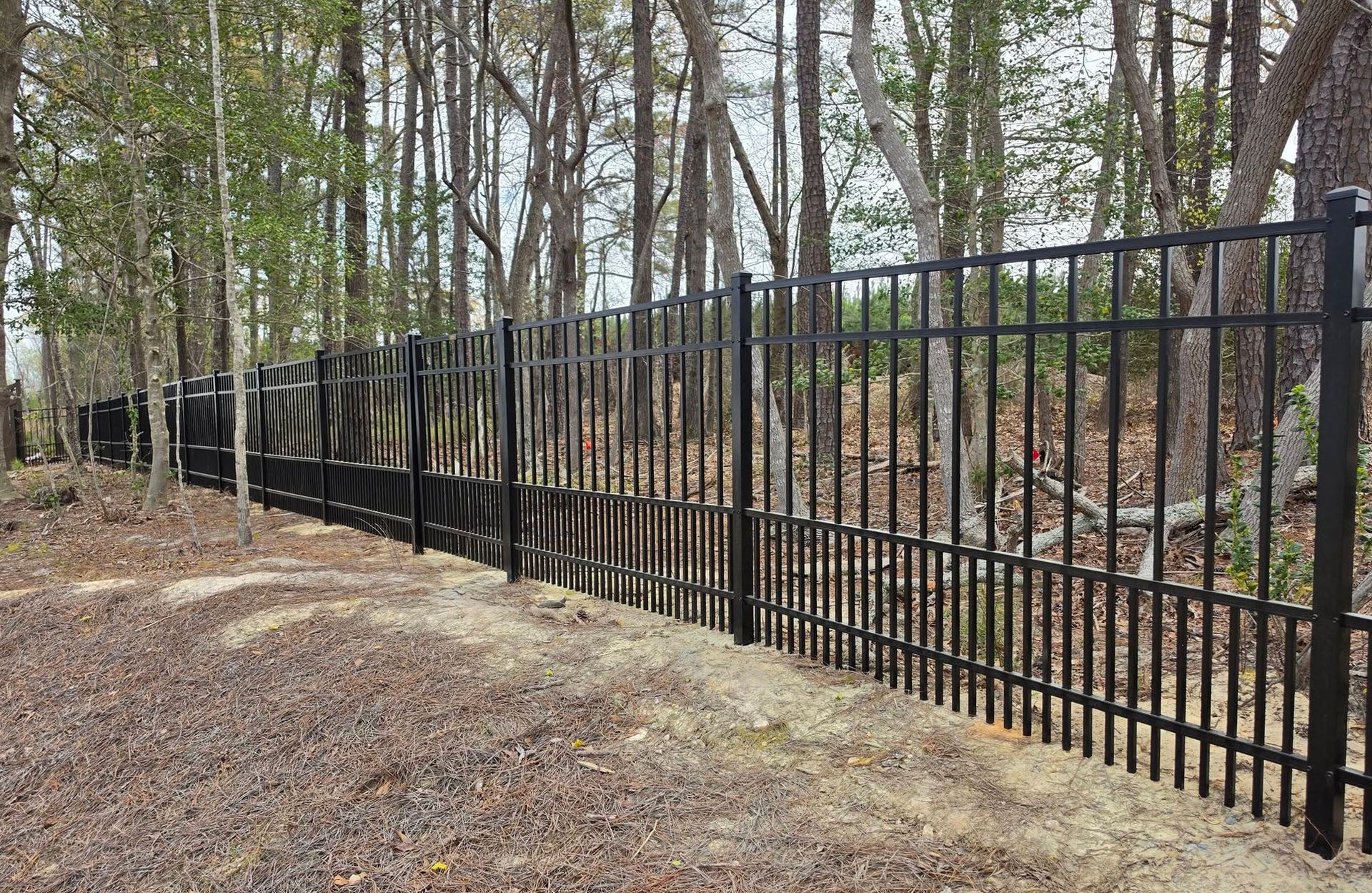 Black metal fence along a wooded gravel path in a leafless forest
