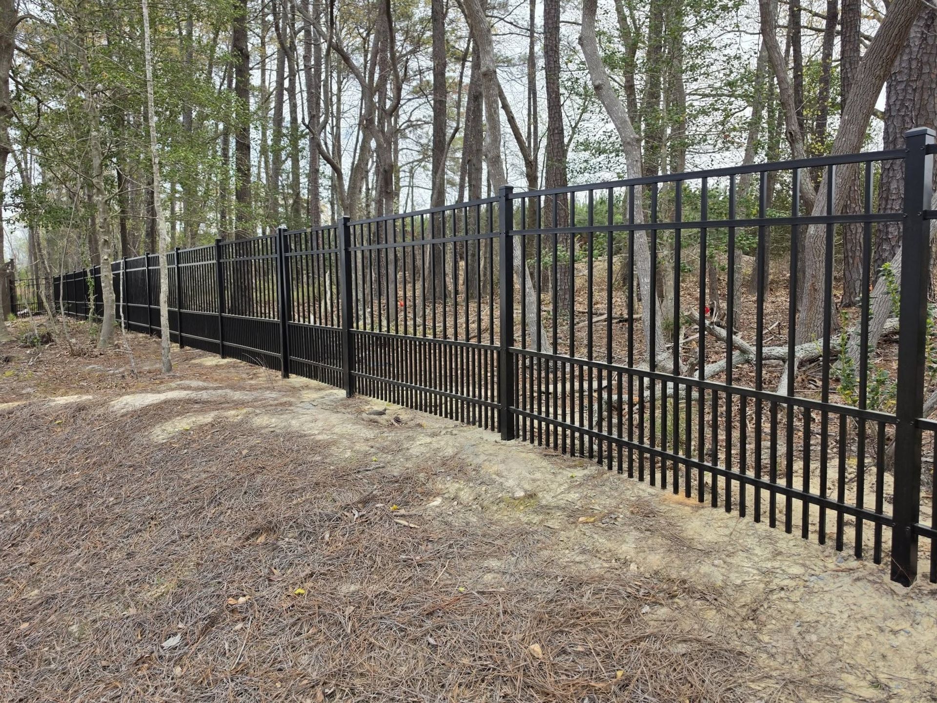 Black metal fence along a wooded path in a leafless forest