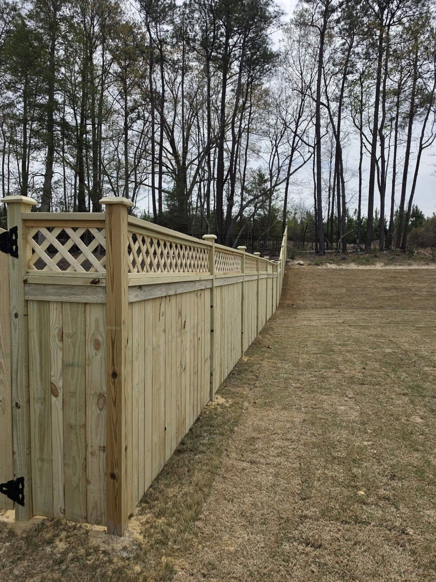 Wooden privacy fence with lattice top running along a grassy yard beside a line of trees.