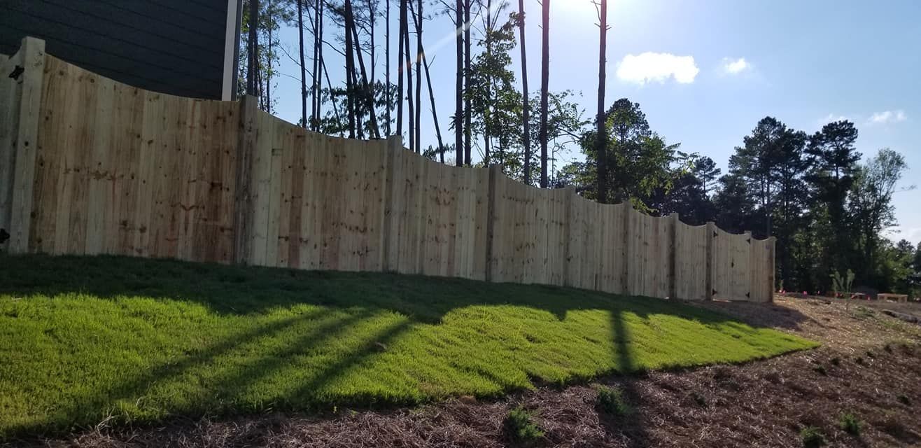 Sunlit wooden privacy fence beside a grassy yard and dirt path, with tall trees in the background