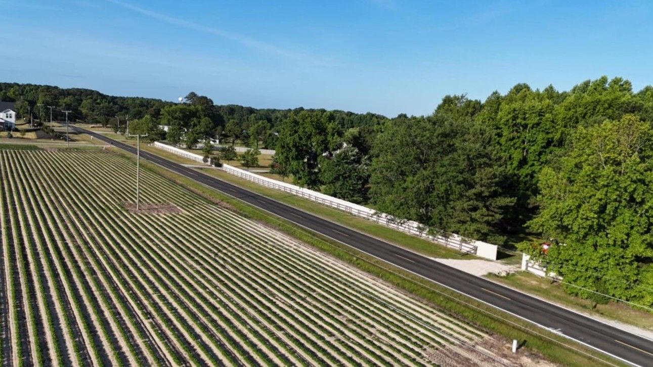 Aerial view of vineyard rows beside a road, with green trees and blue sky.