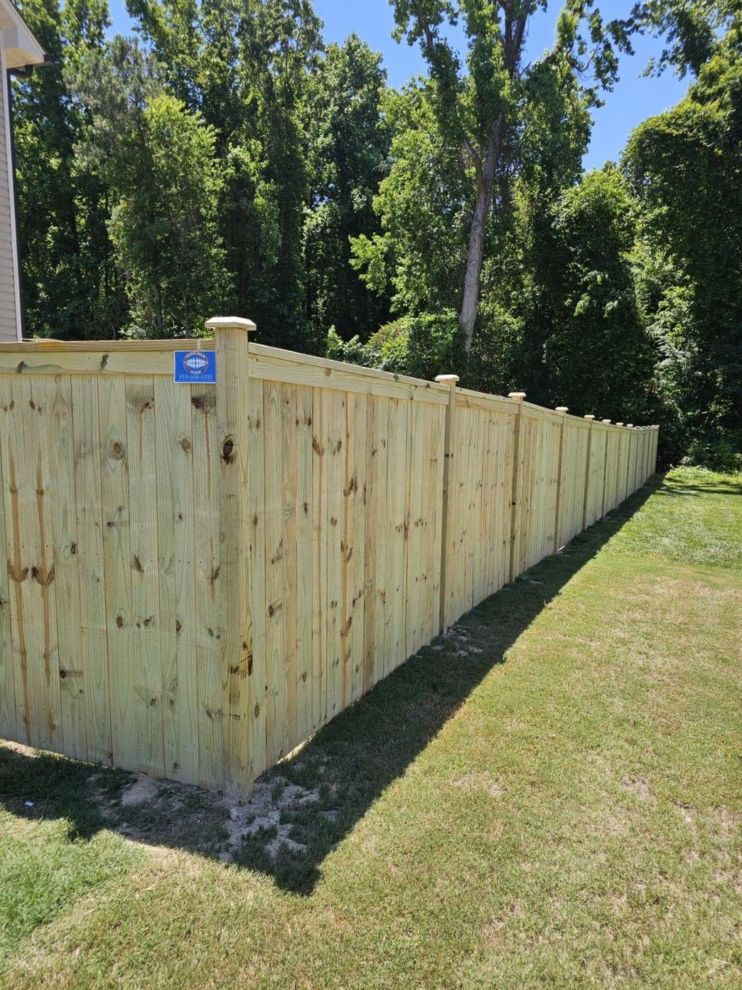 Wooden privacy fence along a grassy yard with tall trees in the background