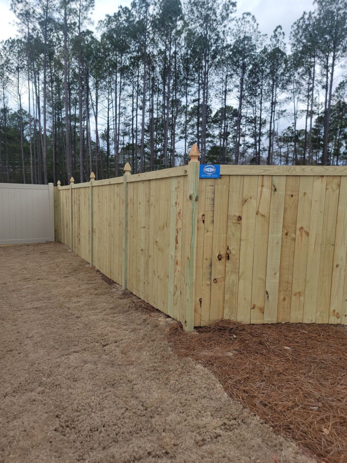 Wooden privacy fence along a gravel path, with tall pine trees in the background.