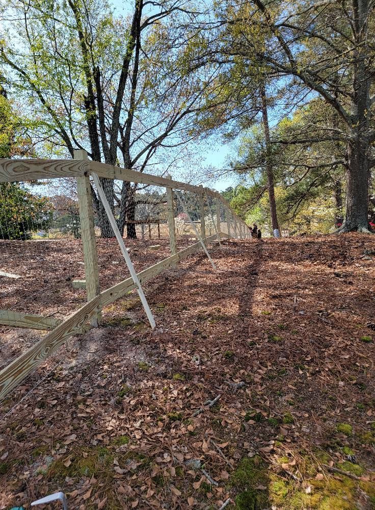 Wooded hillside with a white fence, brown leaf-covered ground, and sunlight through bare trees.