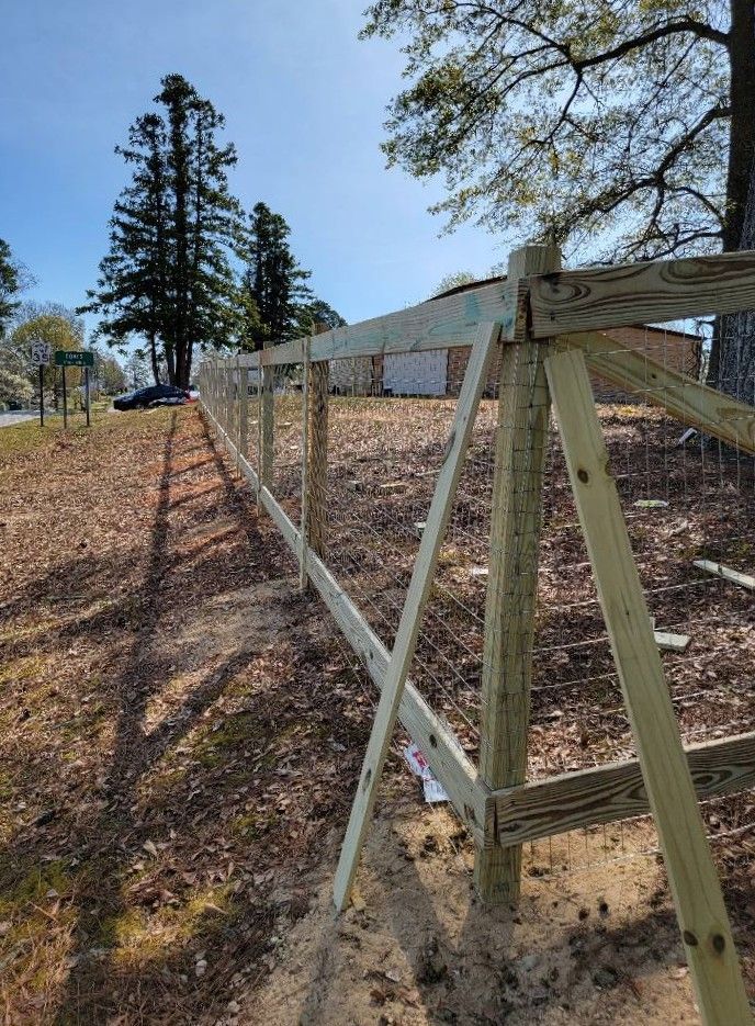 Wooden fence rail along a leaf-covered roadside with tall trees and blue sky