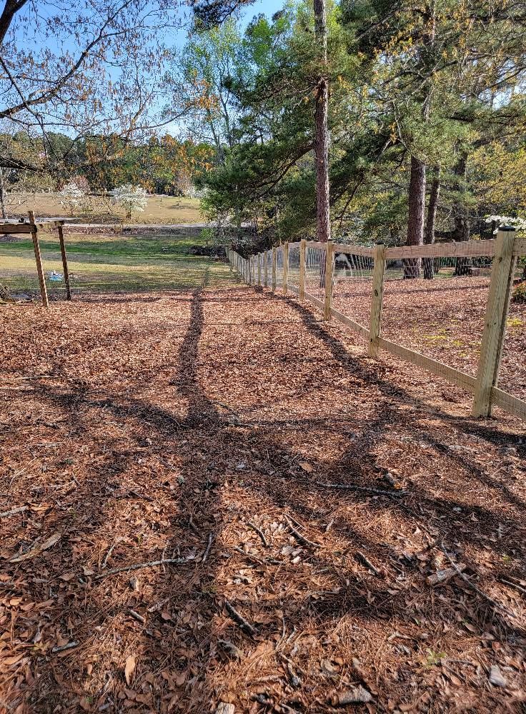 Leaf-covered fenced path in a sunny yard with trees and long shadows