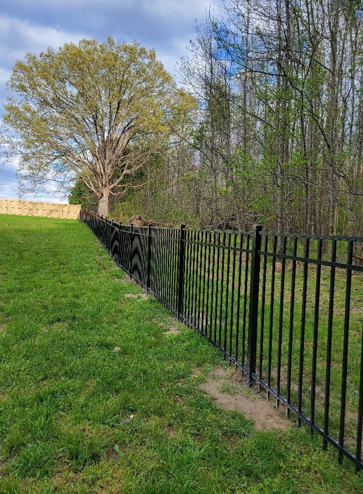 Black metal fence along a grassy slope with trees and a large tree under a blue sky