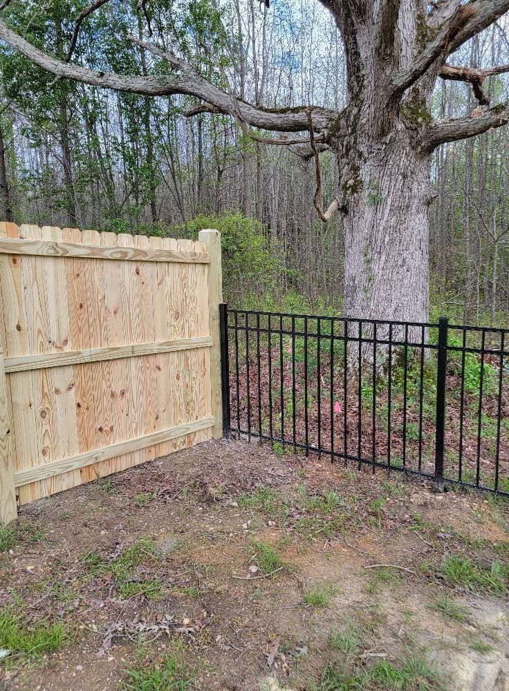 Wooden privacy fence beside black metal fence under a large tree in a yard.