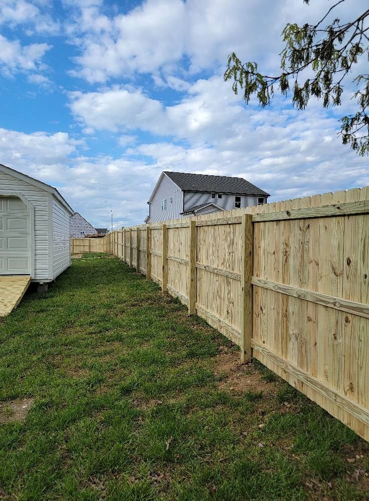 Backyard along a wooden fence beside white sheds under a partly cloudy sky
