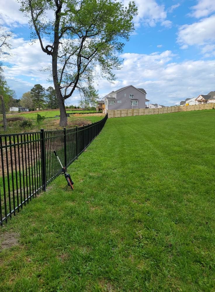 Black metal fence along a green lawn with a tree, houses, and blue sky in the background