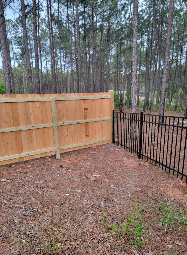 Backyard corner with a wooden privacy fence and black metal fence beside pine trees