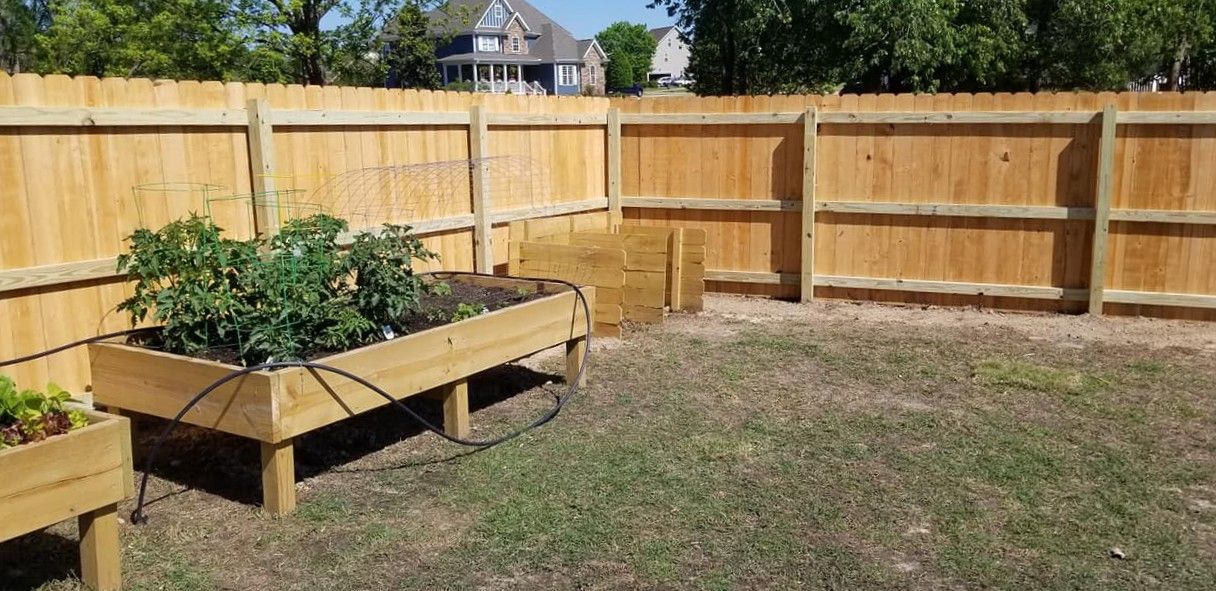 Backyard garden bed with green plants inside a fenced yard on a sunny day